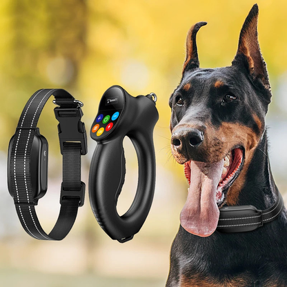 Dog Training E-Collar