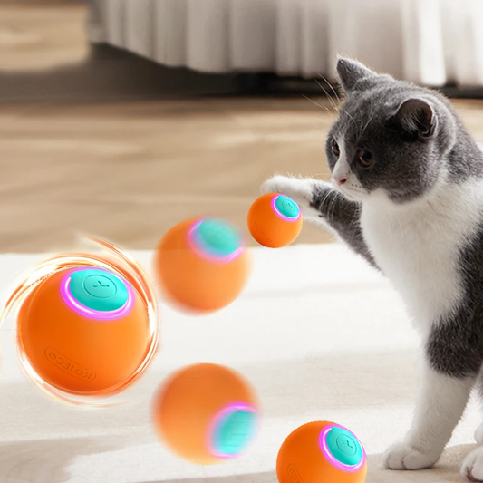 Automatic Rolling Ball The Ultimate Pet Toy!