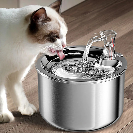 2L Stainless Steel Pet Water Fountain