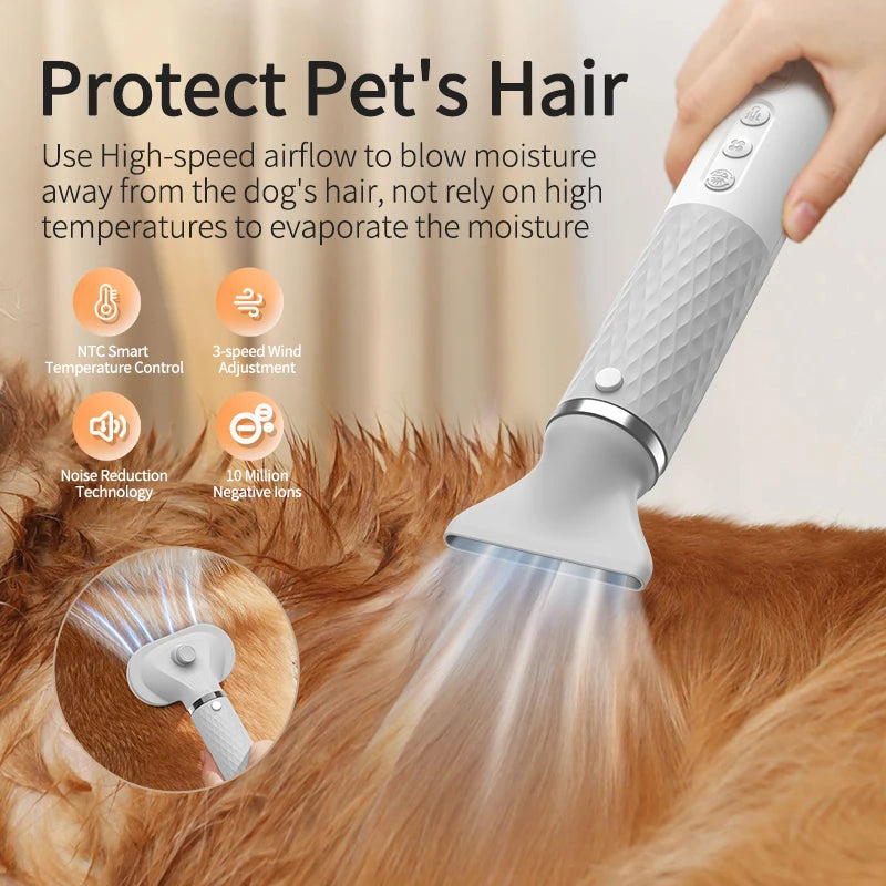 Pet Hair Dryer