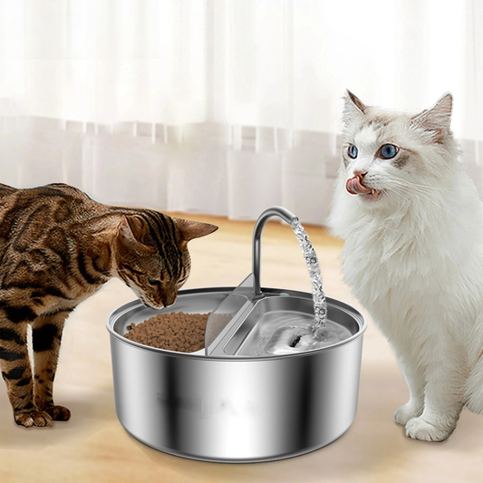 2 in 1 Automatic Pet Feeder