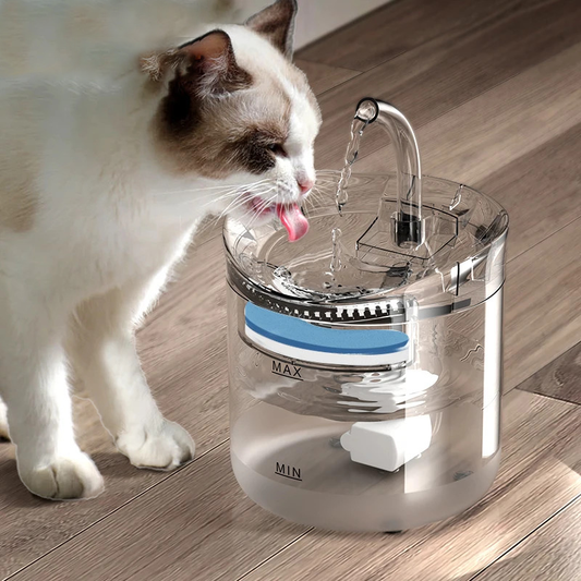 2L transparent pet water fountain